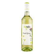 BIOREBE Pinot Grigio IGP Italia (BIO)