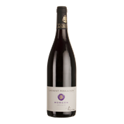 PERRACHON Morgon Cote du Py