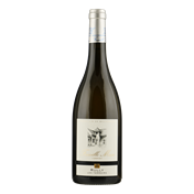 MASSE Rully 'Les Terroirs' Blanc