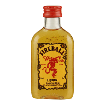 FIREBALL Cinnamon Whisky miniatuur PET-flesje (GER)