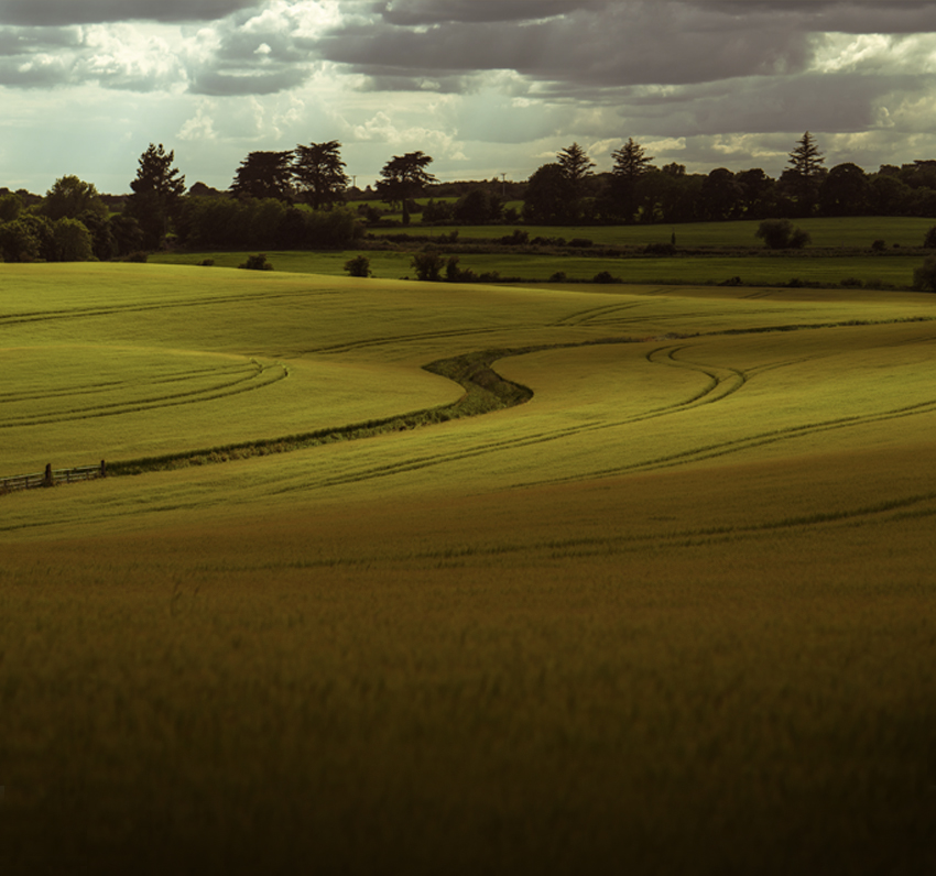 An Baile Rua | Ballyroe