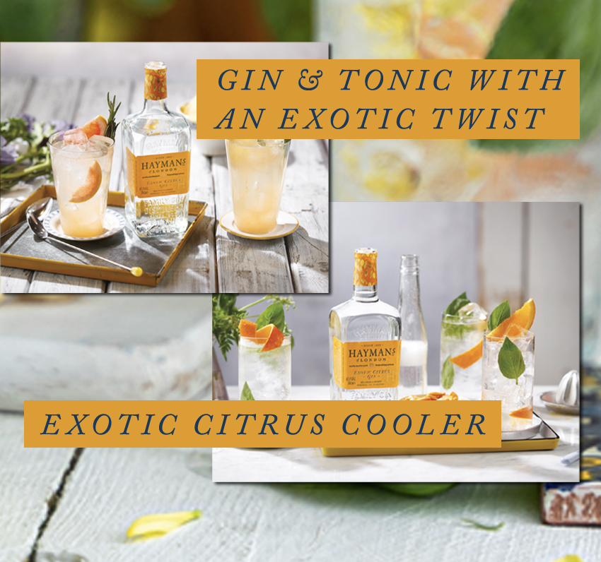 Serveersuggestie Hayman's Exotic Citrus