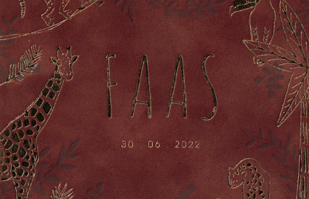 Luuk en Maaike trotse ouders van zoon Faas!