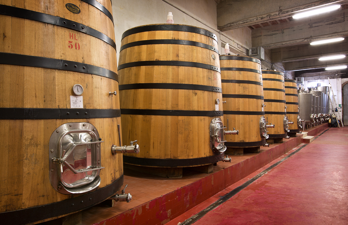 Vergisting en rijping